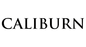 Caliburn darts