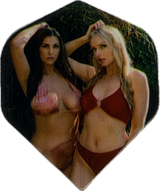 Taurus darts Daniella and Charlotte standard No.2 dart flights (5 sets)